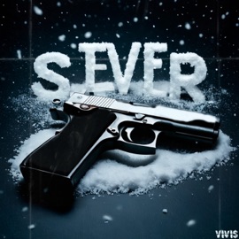 Sever vIvI$