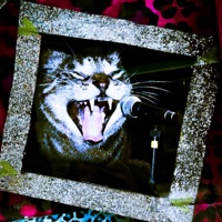 MORE THAN EVER - Single - SIKORO