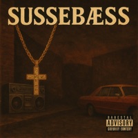 Sør Reppin (feat. Plantasjen) - Single - TECHNOSON & Monopol