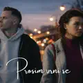 PROSIM VRNI SE