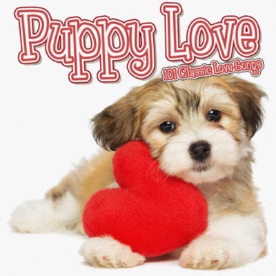 puppy love <3 - Single