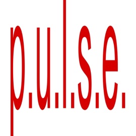 p.u.l.s.e. (feat. jahhde) SOWBOY!