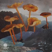 Ocean Dream - Single - Nightflyer