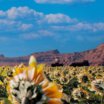 CANTARES AL AMOR FALLIDO
