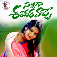 Sallaga Edaravache - Single - Nagalaxmi Sankoju