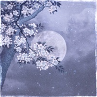 Moonlight Serenade - Single - Miilano