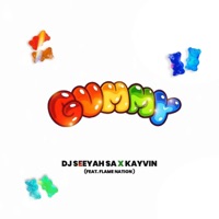 Gummy (feat. Kayvin & Flame Nation) - Single - DJ Seeyah SA