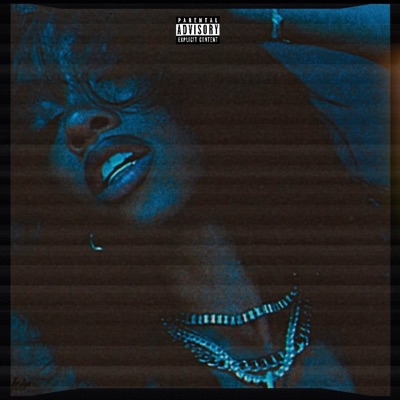 Breaking Of Dawn - Single