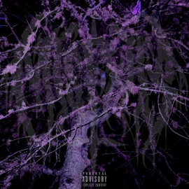 BLUE STRIPS! mdnight, tomlinsonmade & xaviersobased