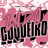 Zn do Coqueiro - Single - DJ BRUNIN DA ZL, MC Segredinho & MC CAIO DA VM
