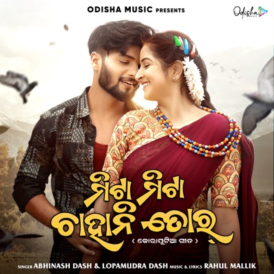 Mita Mita Chahani Tor - Single