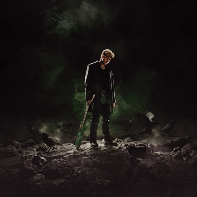 LA STORIA DEL RAGAZZO CORVO