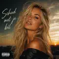 Schud met je bil