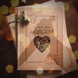 Новелла The Mate & Møнс