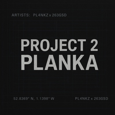 Project 2 Planka (feat. Pl4nkz) - Single