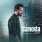 Caneda - PRITPAL lyrics
