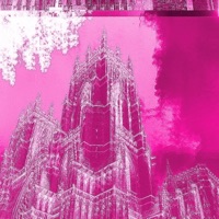 Face It! - Single - SprngXo