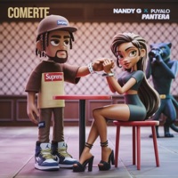 Comerte - Single - Nandy G & Puyalo Pantera