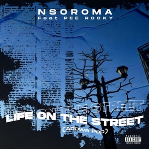 Life on the Streets(Adowa Pop) (feat. PeeRocky)
