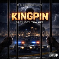 Kingpin - Single - Baby Boy Tha Gee