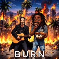 Burn (feat. HippyGOD) - Single - fonzdot