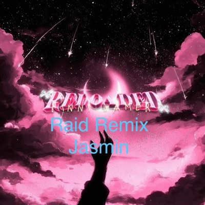 Raid (feat. Finni Gamer) [Remix] - Single