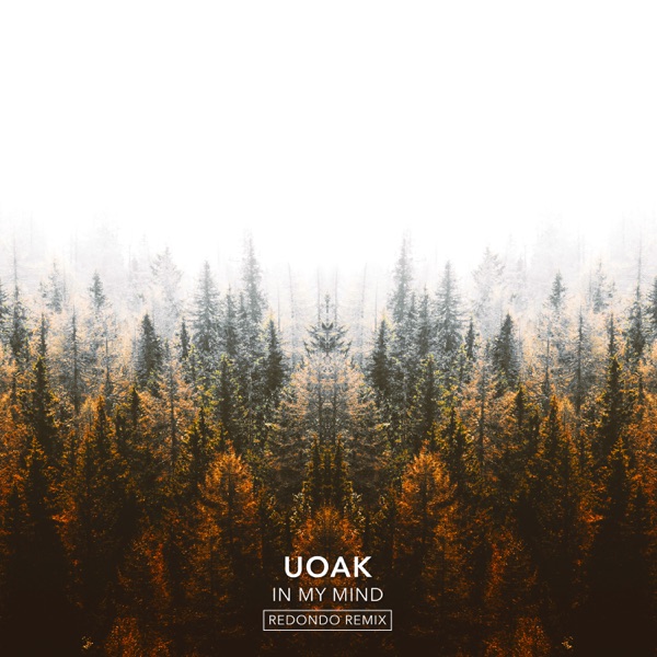In My Mind (Redondo Remix) - Single