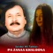 Pa Zanaa Khaloona - Sardar Ali Takkar lyrics