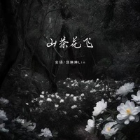 山茶花飞 - Single - 安揚 & 饶琳琳Lin