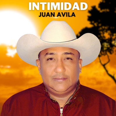 Intimidad (feat. Luis Bautista tv Producciones) - Single