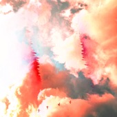 The Believer artwork