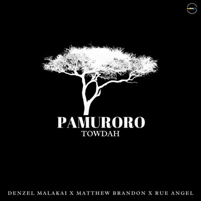 Pamuroro (feat. Denzel Malakai, Matthew Brandon & Rue Angel) - Single