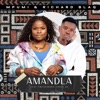 Amandla (feat. Cwenga Bass & Chief_sa) - Single