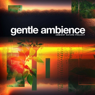 Gentle Ambience