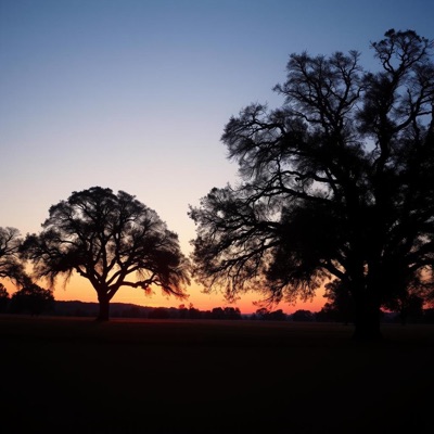 In Memory of Modine - Single