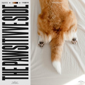 The Pawsitive Side