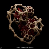 Masevela - Single - Last Will & DJ Rob De Blank