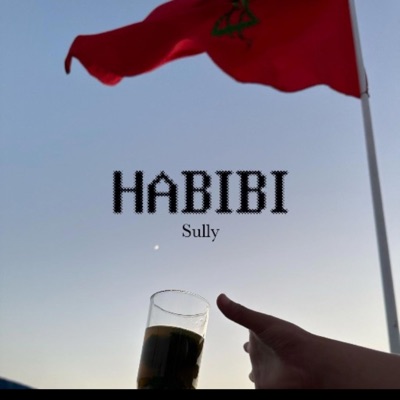 HABIBI - Single
