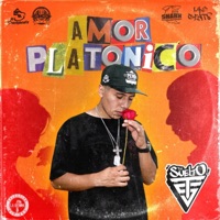 Amor Platonico - Single - The Suelto