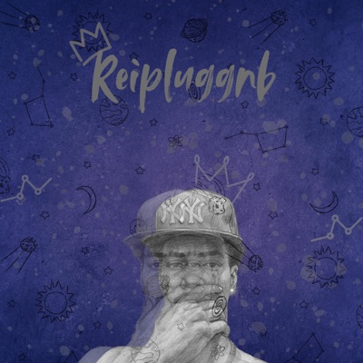 Reipluggnb