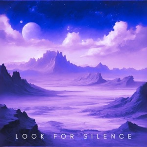 Look For Silence