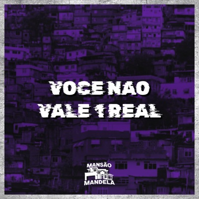 Você Não Vale 1 Real - Single