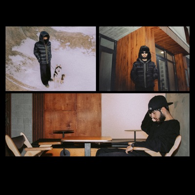 Допустим - Single