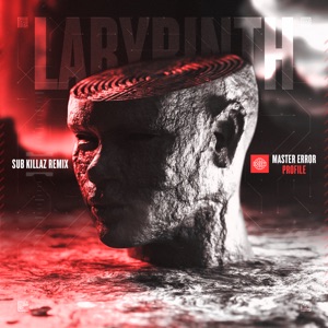 Labyrinth (Sub Killaz Remix)