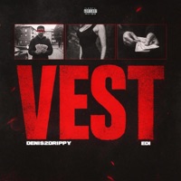 Vest (feat. Edi) - Single - Vs1Denis