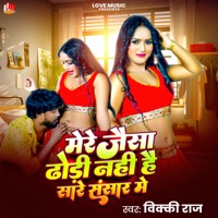 Mere Jaisa Dhodi Nahi Hai Sare Sansar Me - Single - Vicky Raj