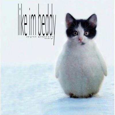 like im beddy (feat. szy) - Single