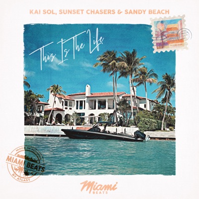 This Is the Life - Single