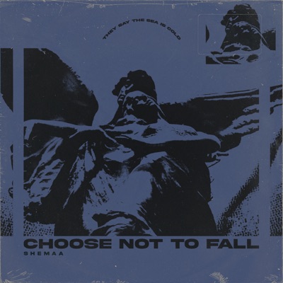 Choose Not to Fall - Single