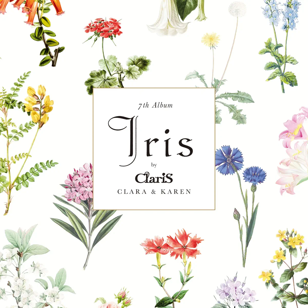 ClariS - Iris (2024) [iTunes Plus AAC M4A]-新房子
